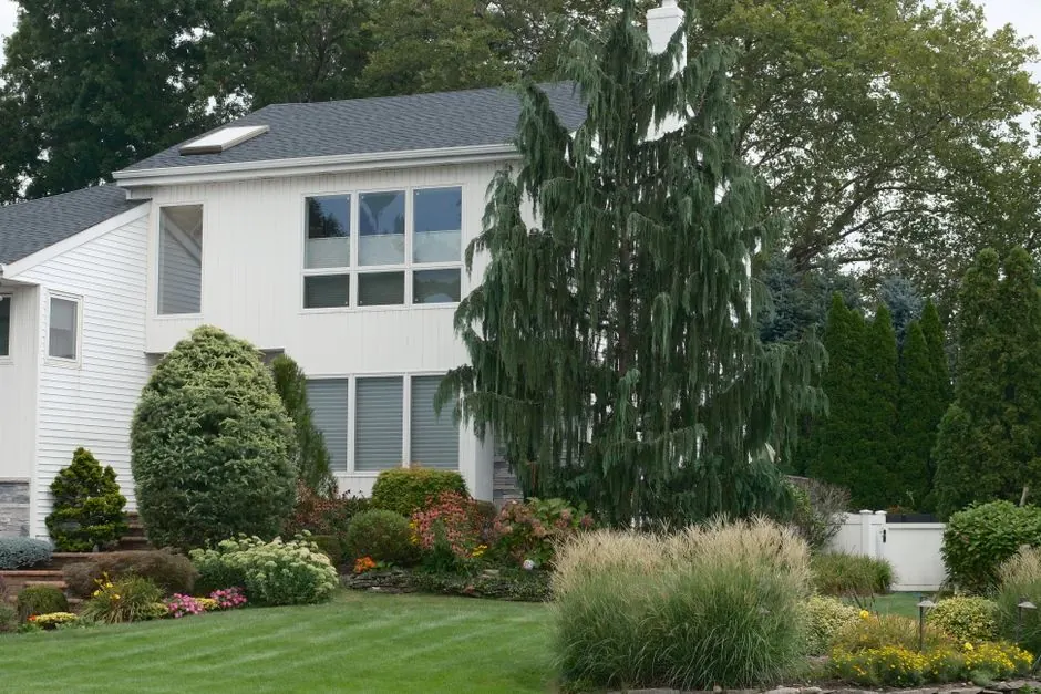 White painted house exterior surrounded by landscaping