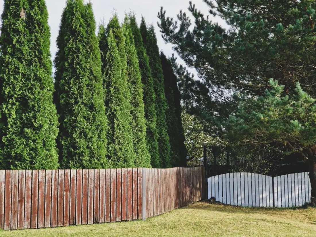 Weathered wood fence showing when to paint or stain a fence