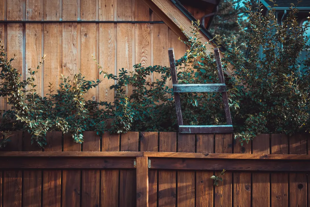 Backyard wood fence project with clean exterior finish