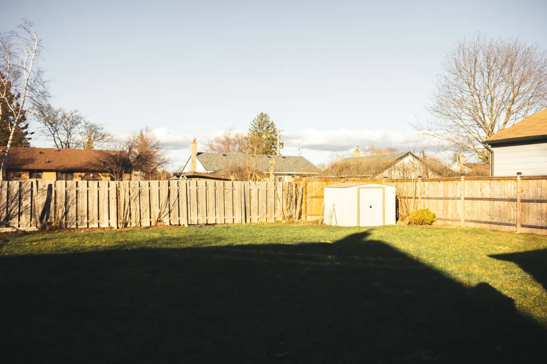 Fresh wood fence finish after staining or painting